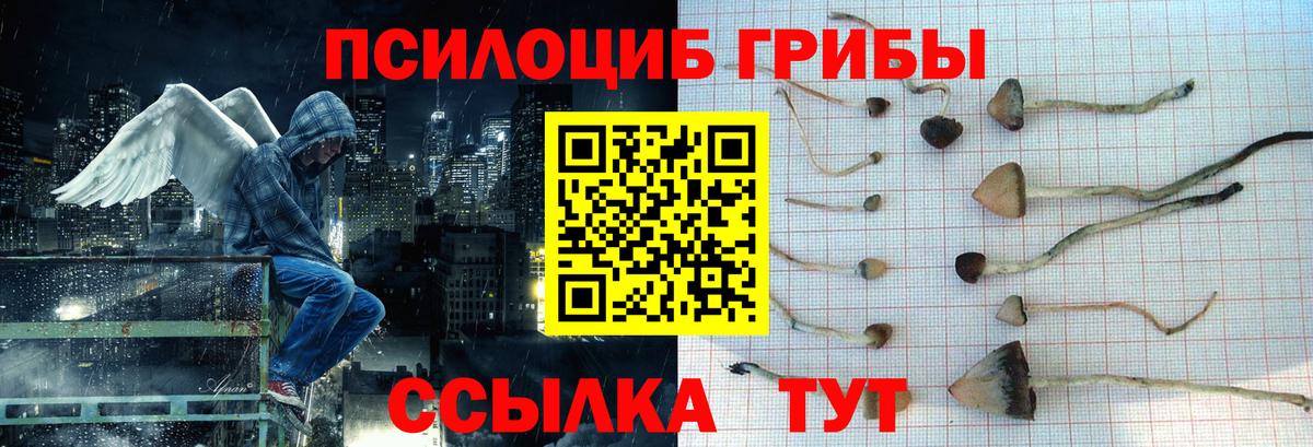 продажа наркотиков  Псилоцибиновые грибы Cubensis  Галлюциногенные грибы прущие грибы  Вход с VPN  Будённовск 